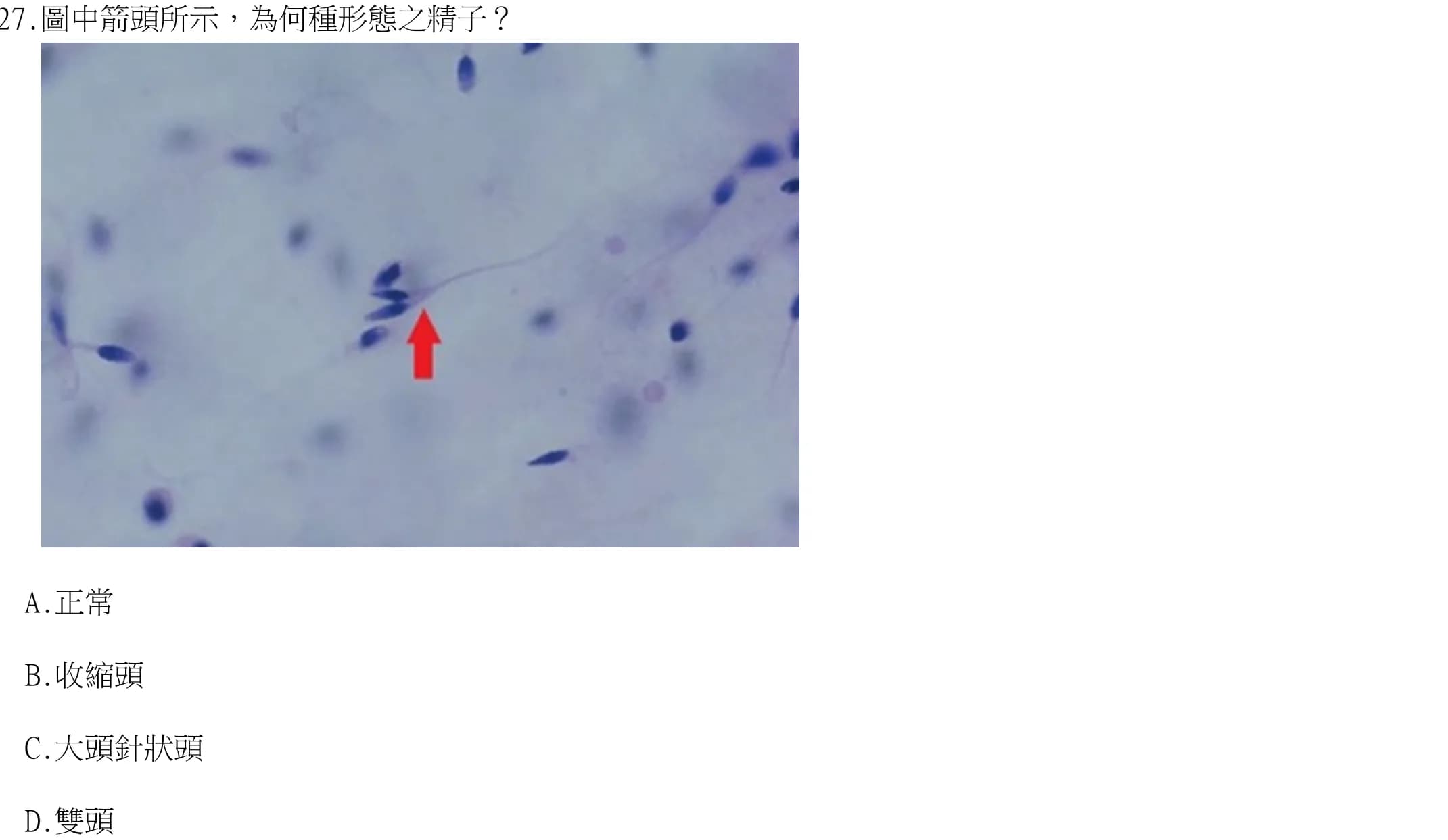 question 圖片