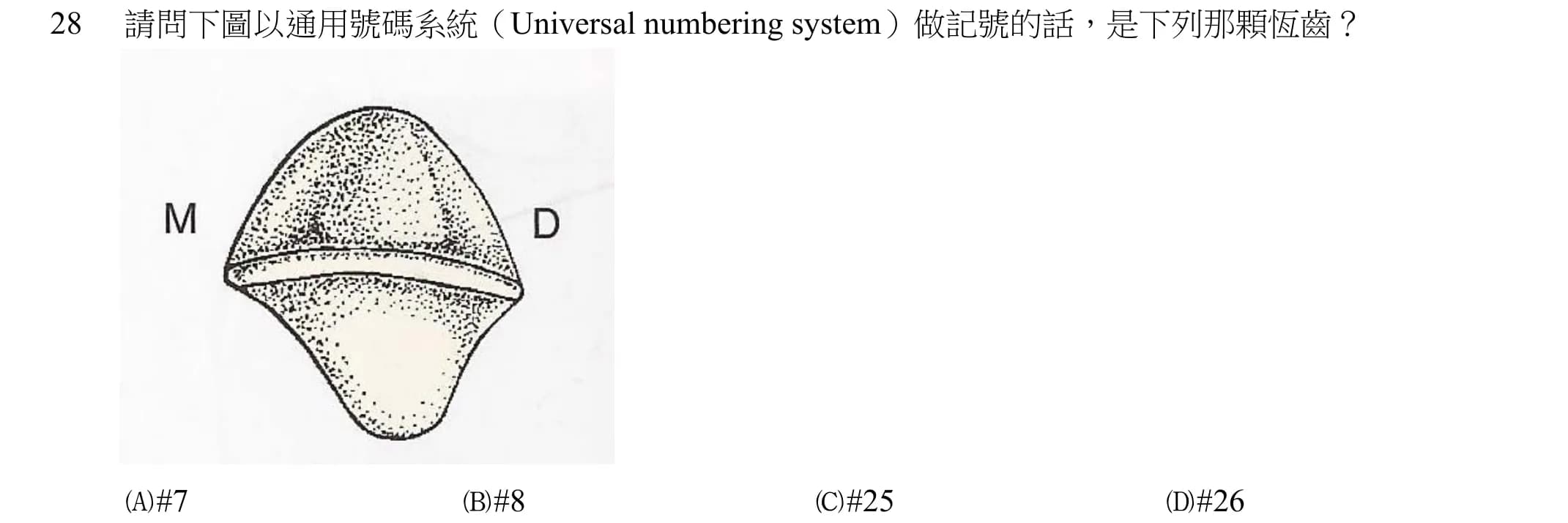question 圖片