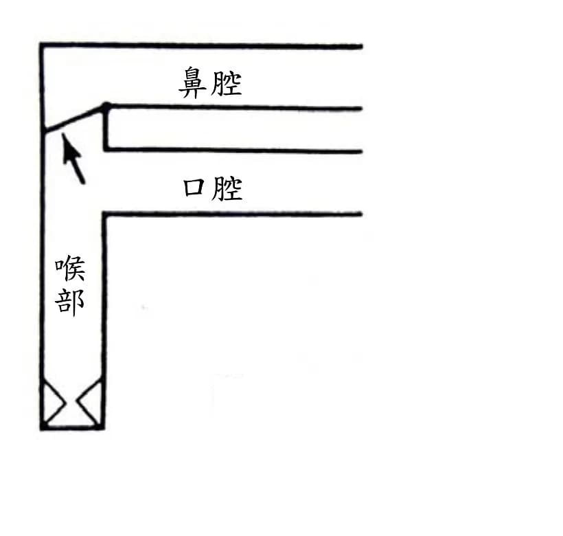 question 圖片
