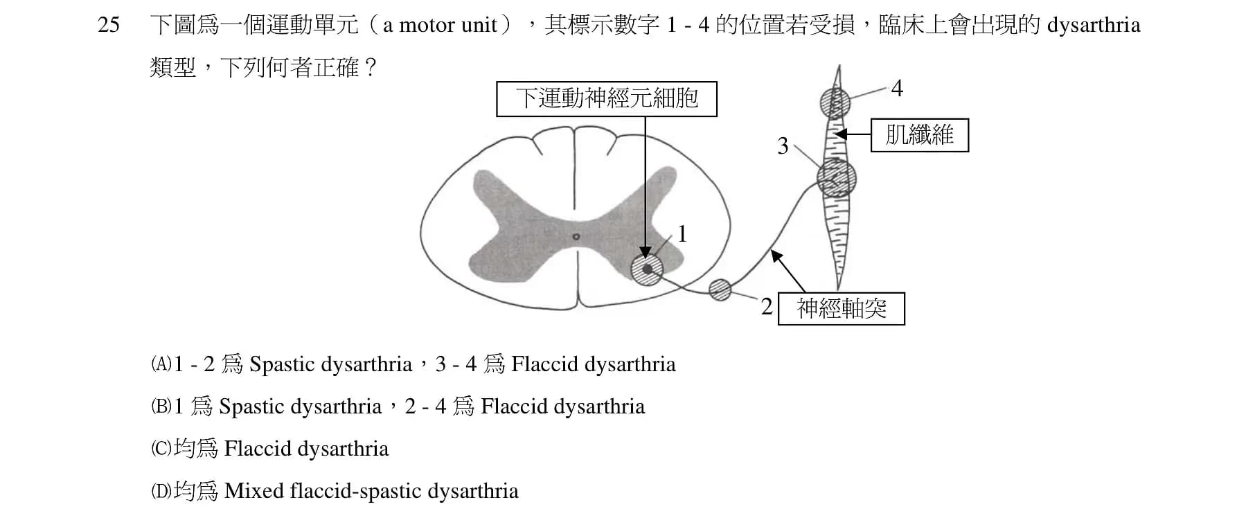question 圖片
