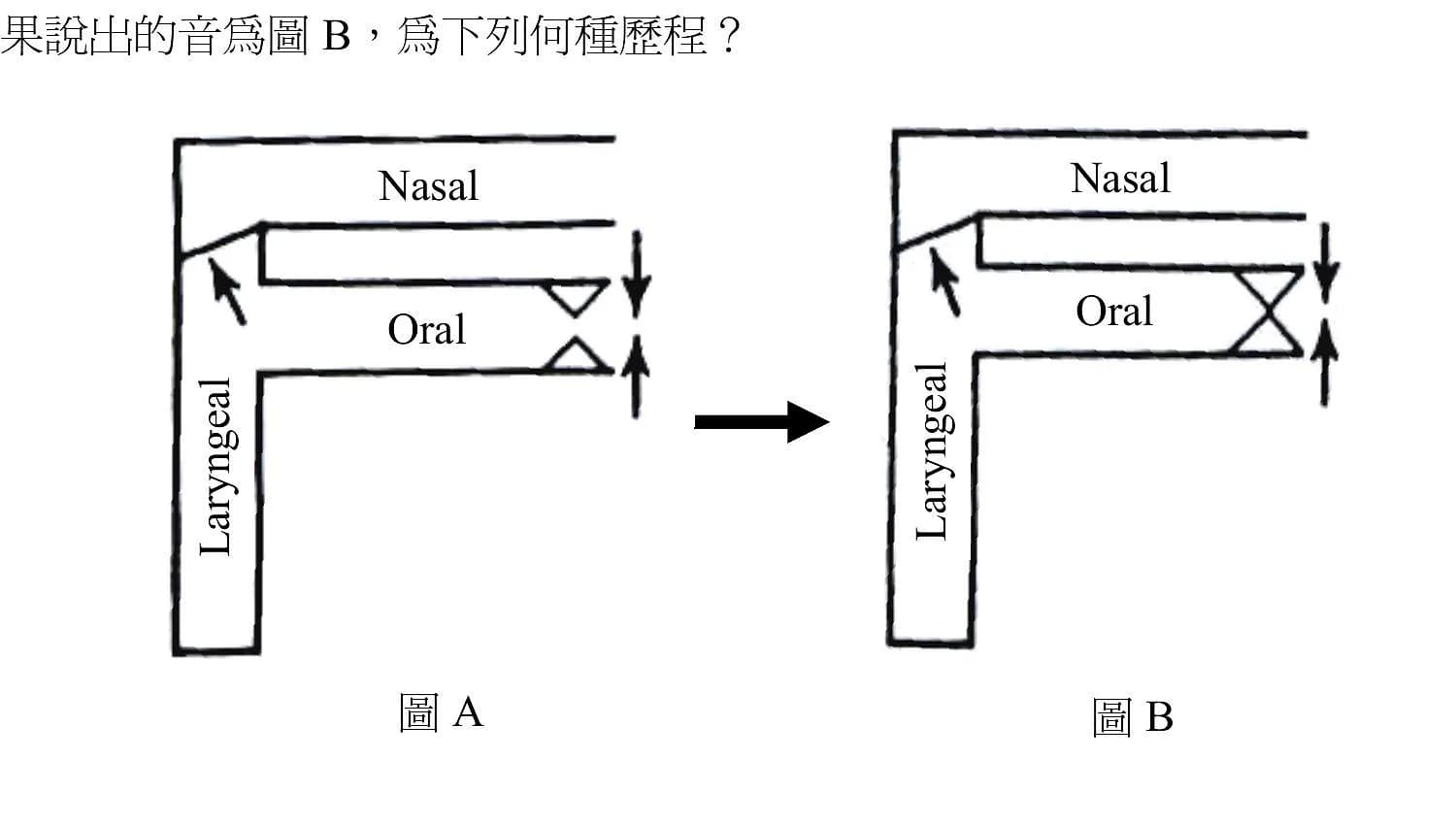 question 圖片