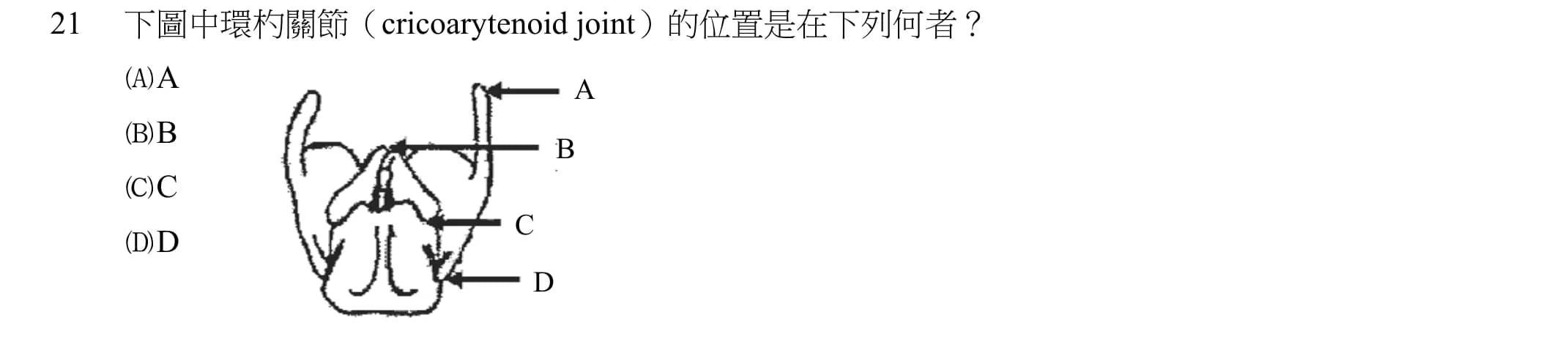 question 圖片