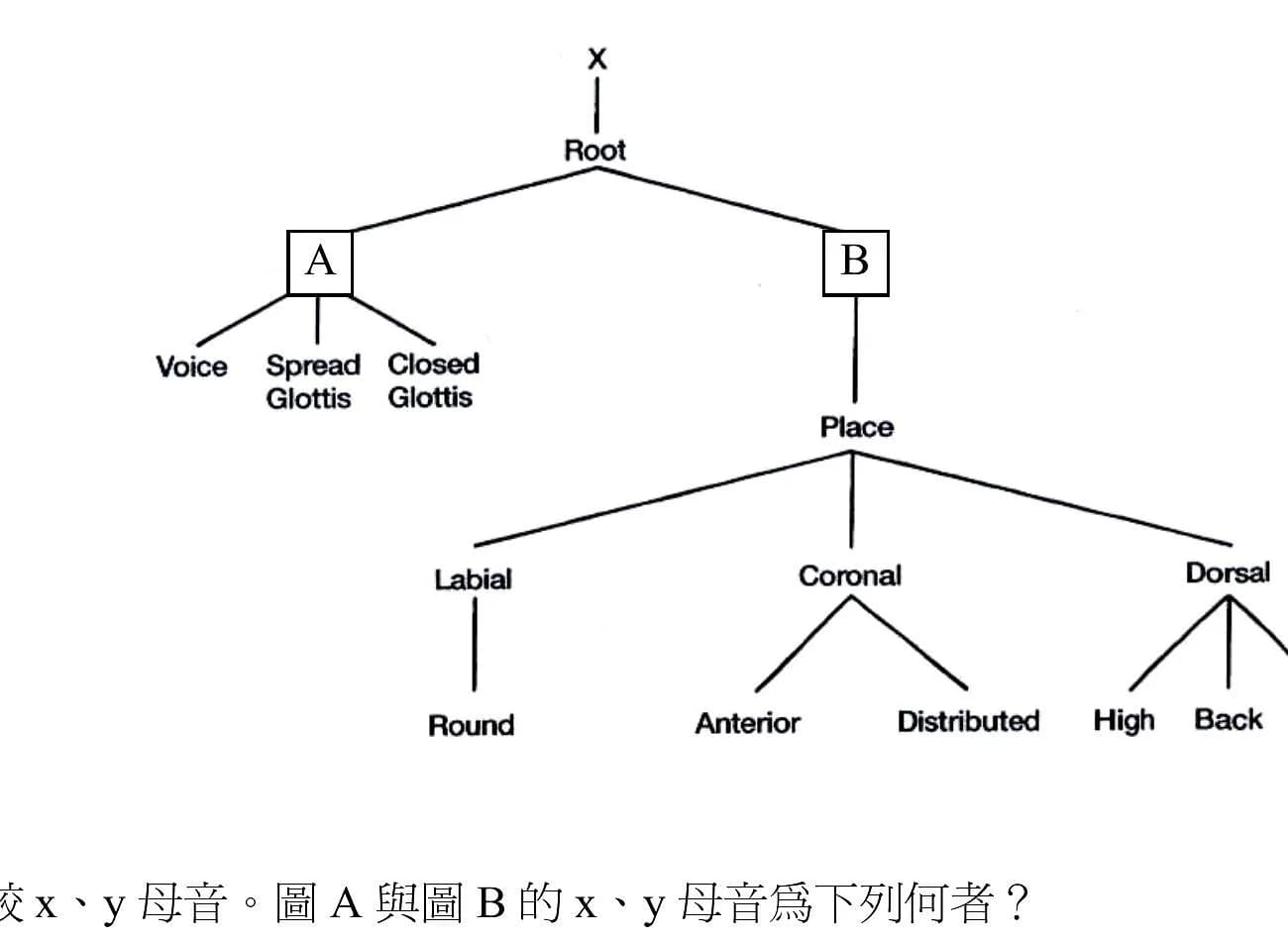 question 圖片
