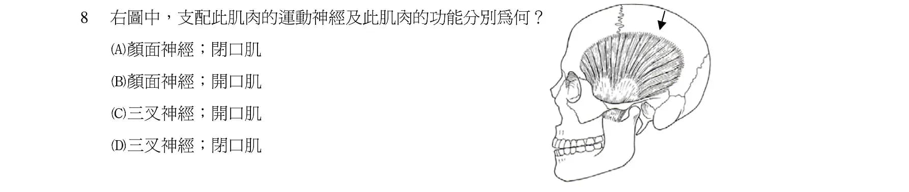 question 圖片