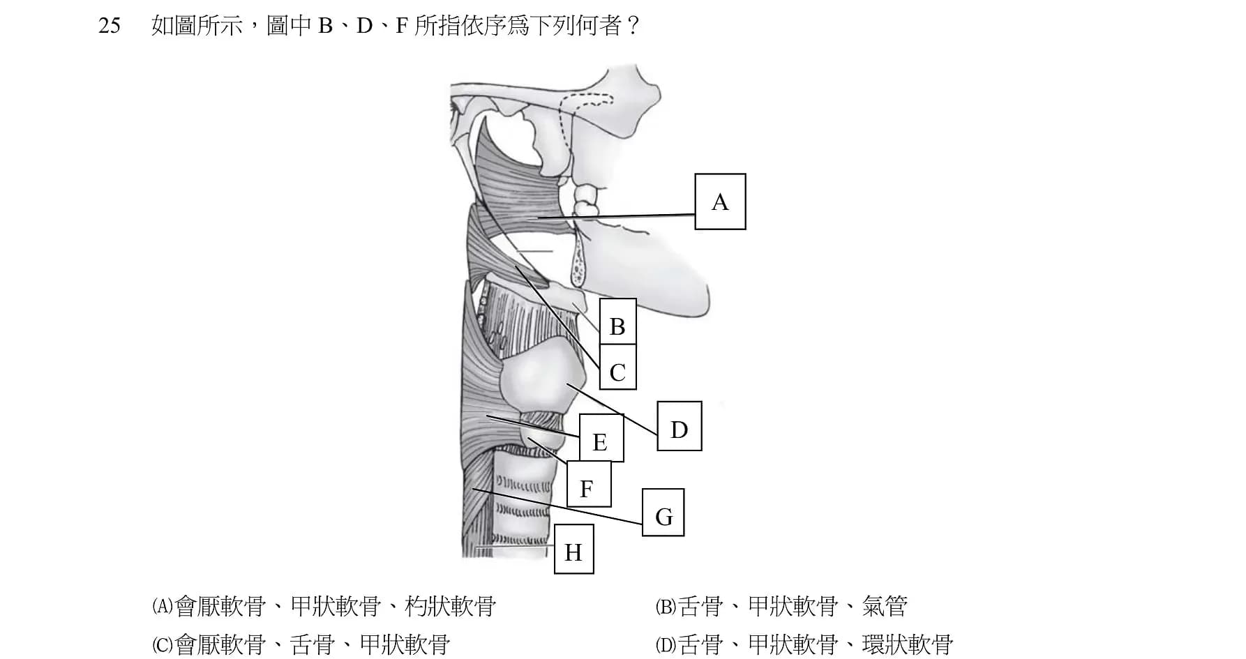 question 圖片