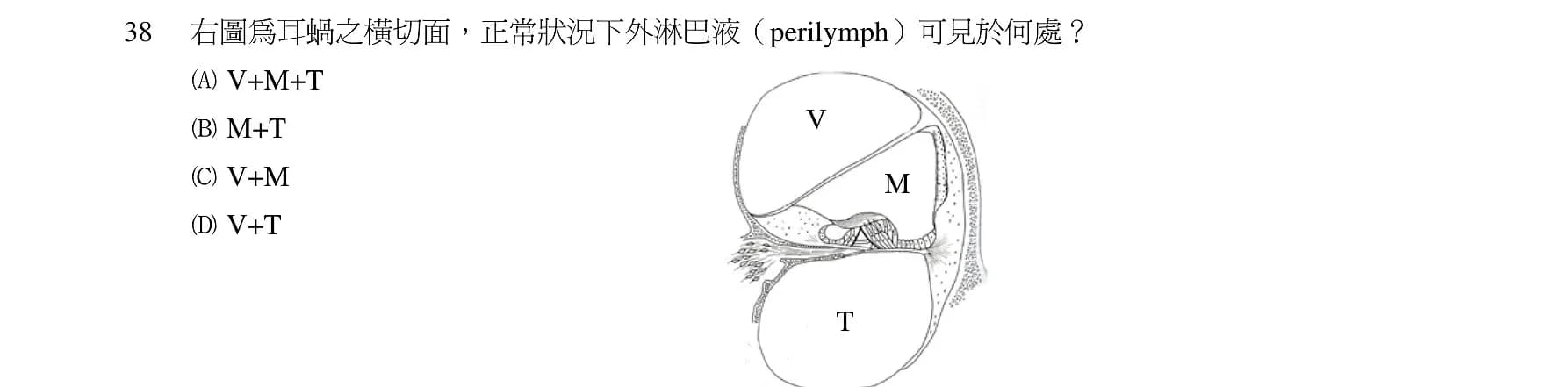 question 圖片
