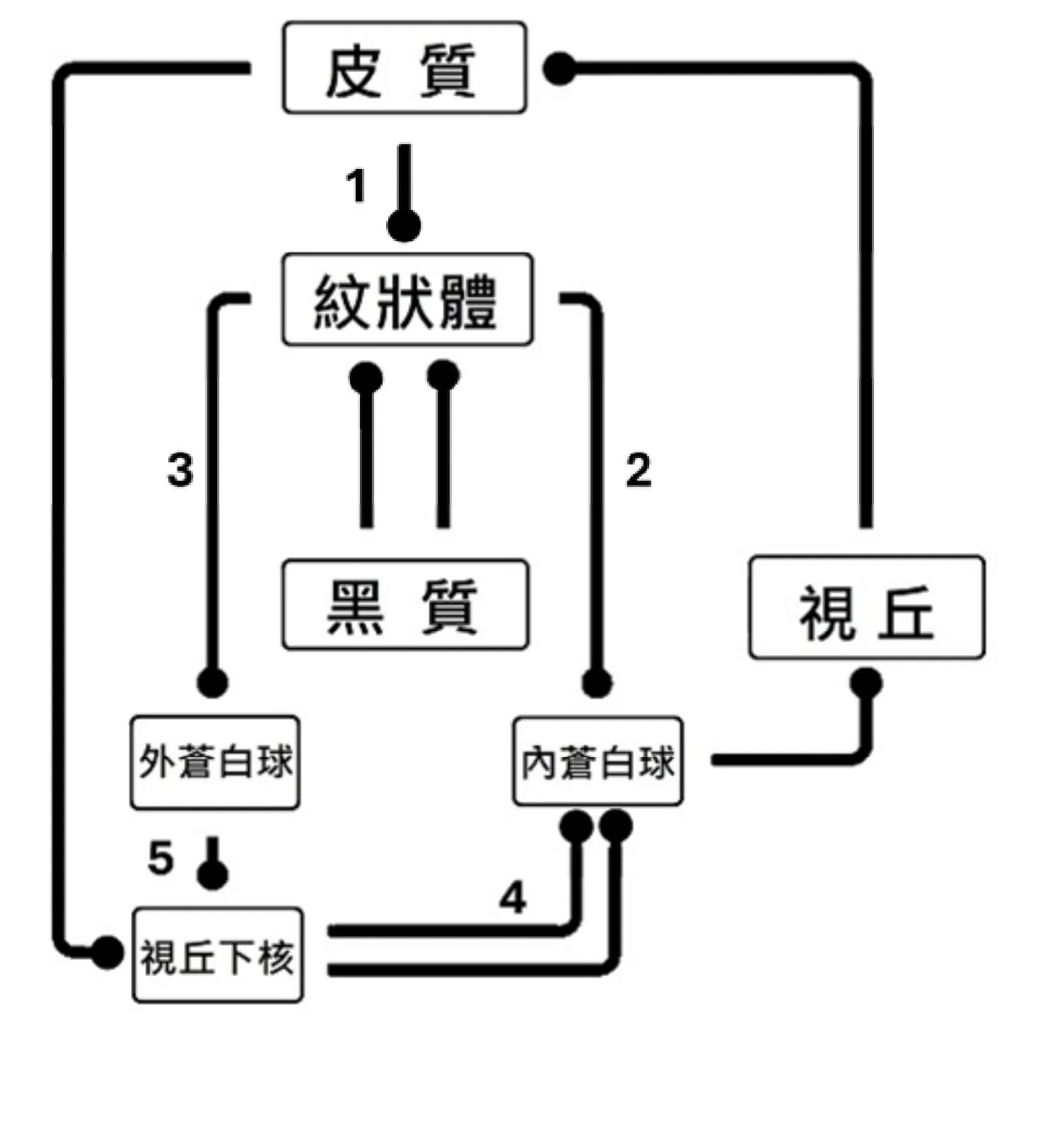 question 圖片