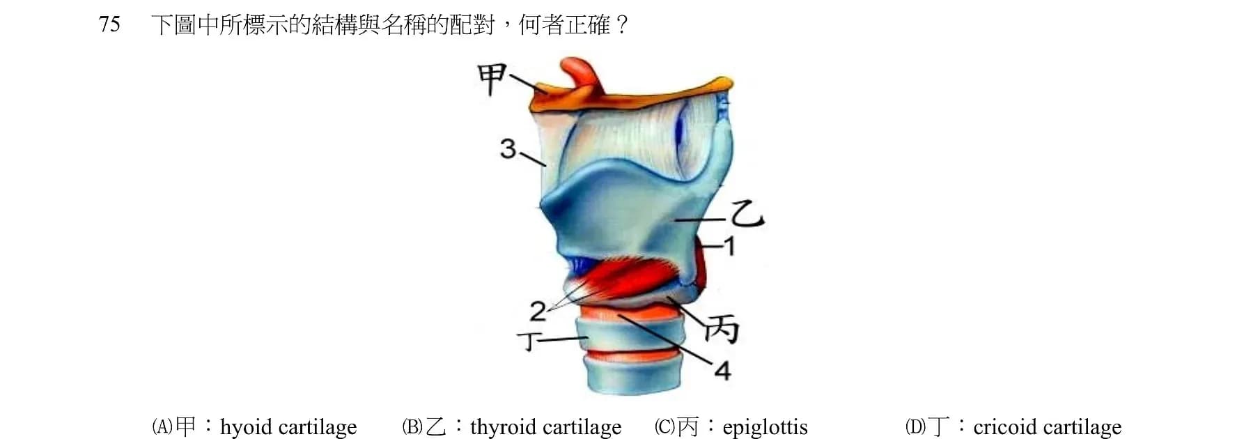 question 圖片