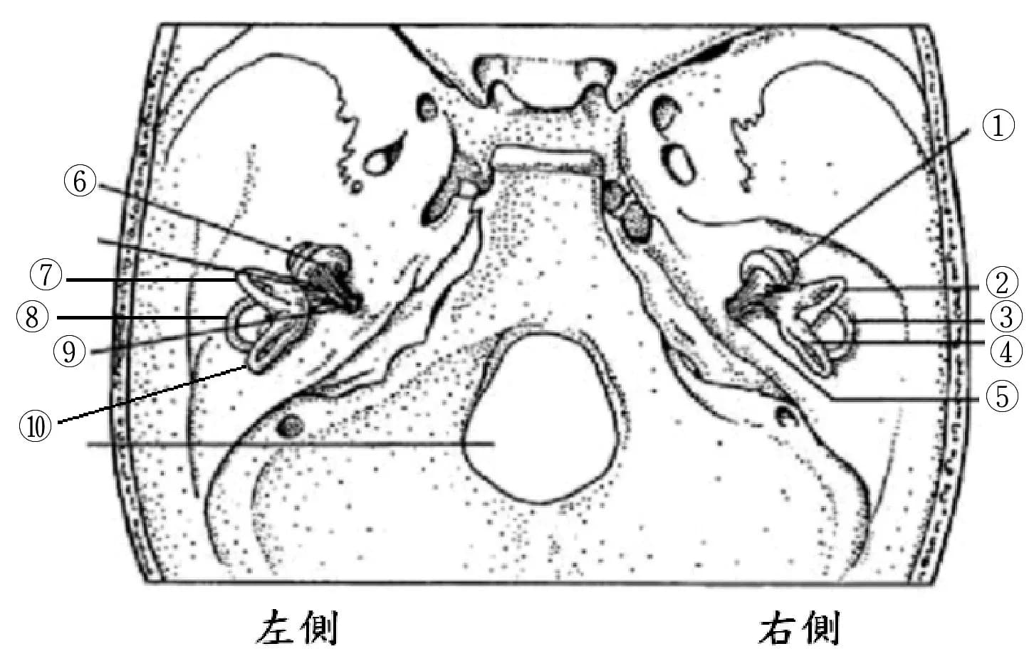 question 圖片