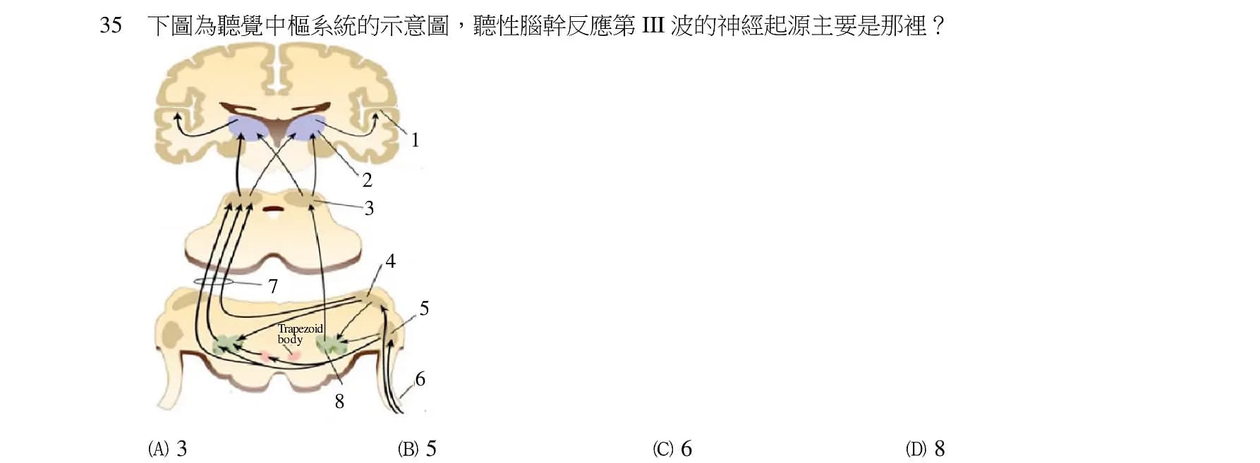 question 圖片