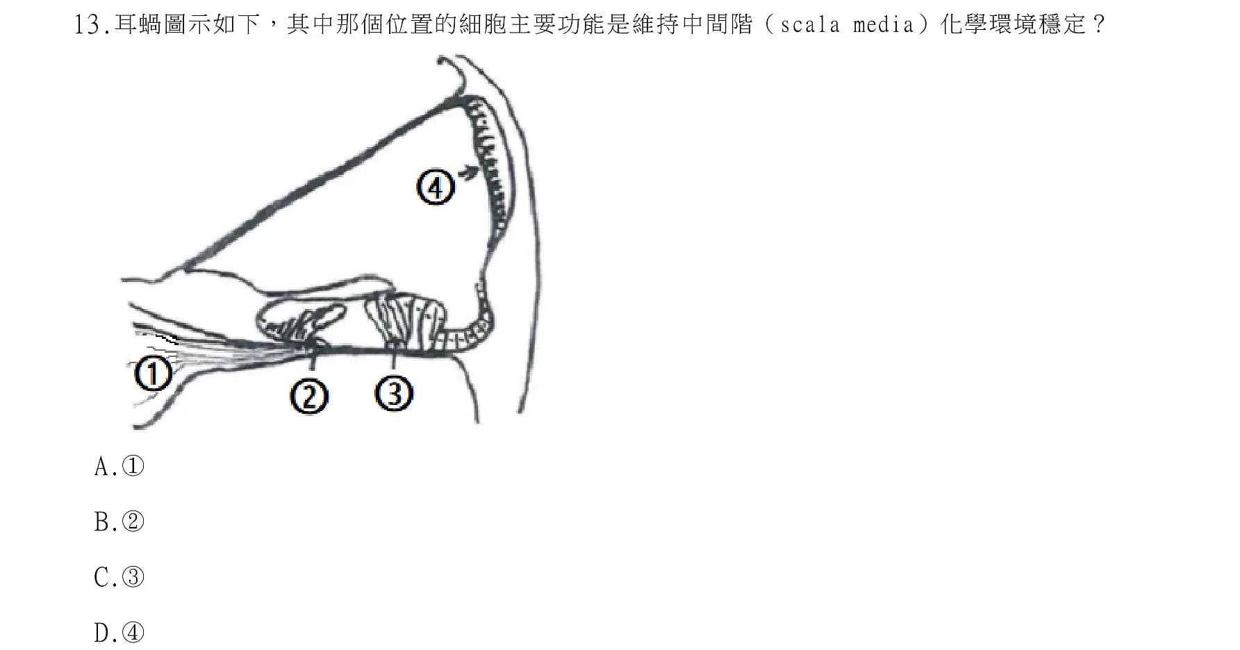 question 圖片