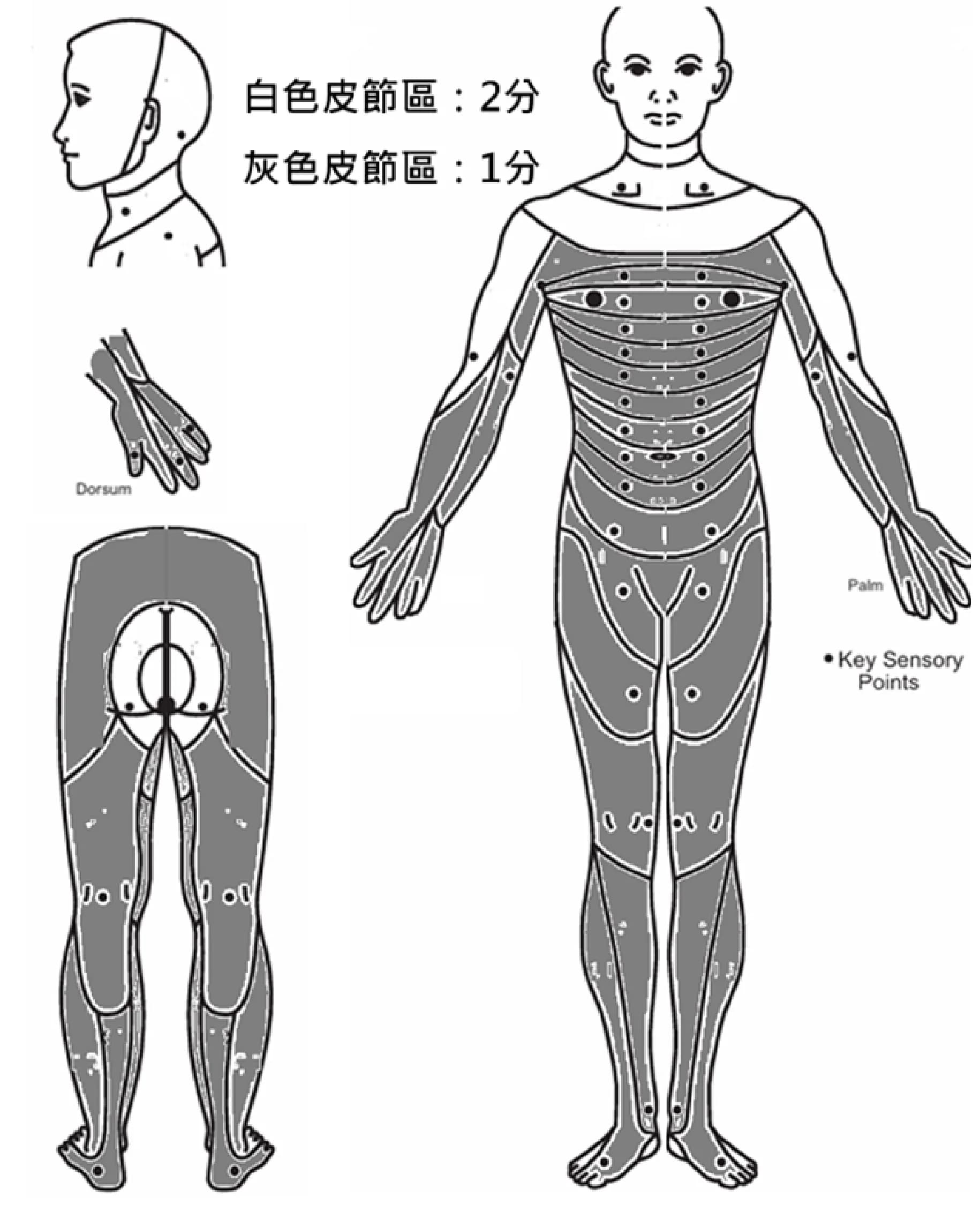 question 圖片