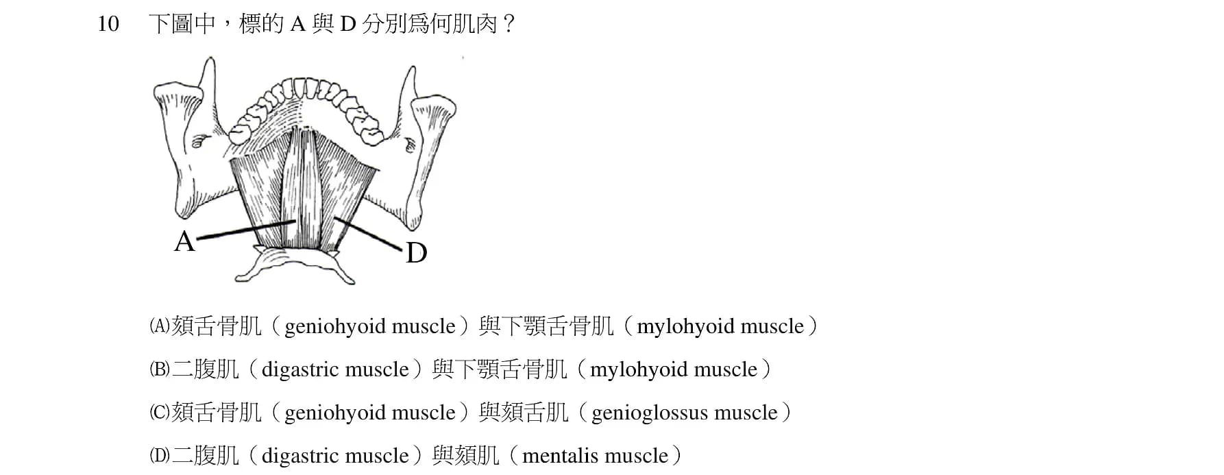 question 圖片