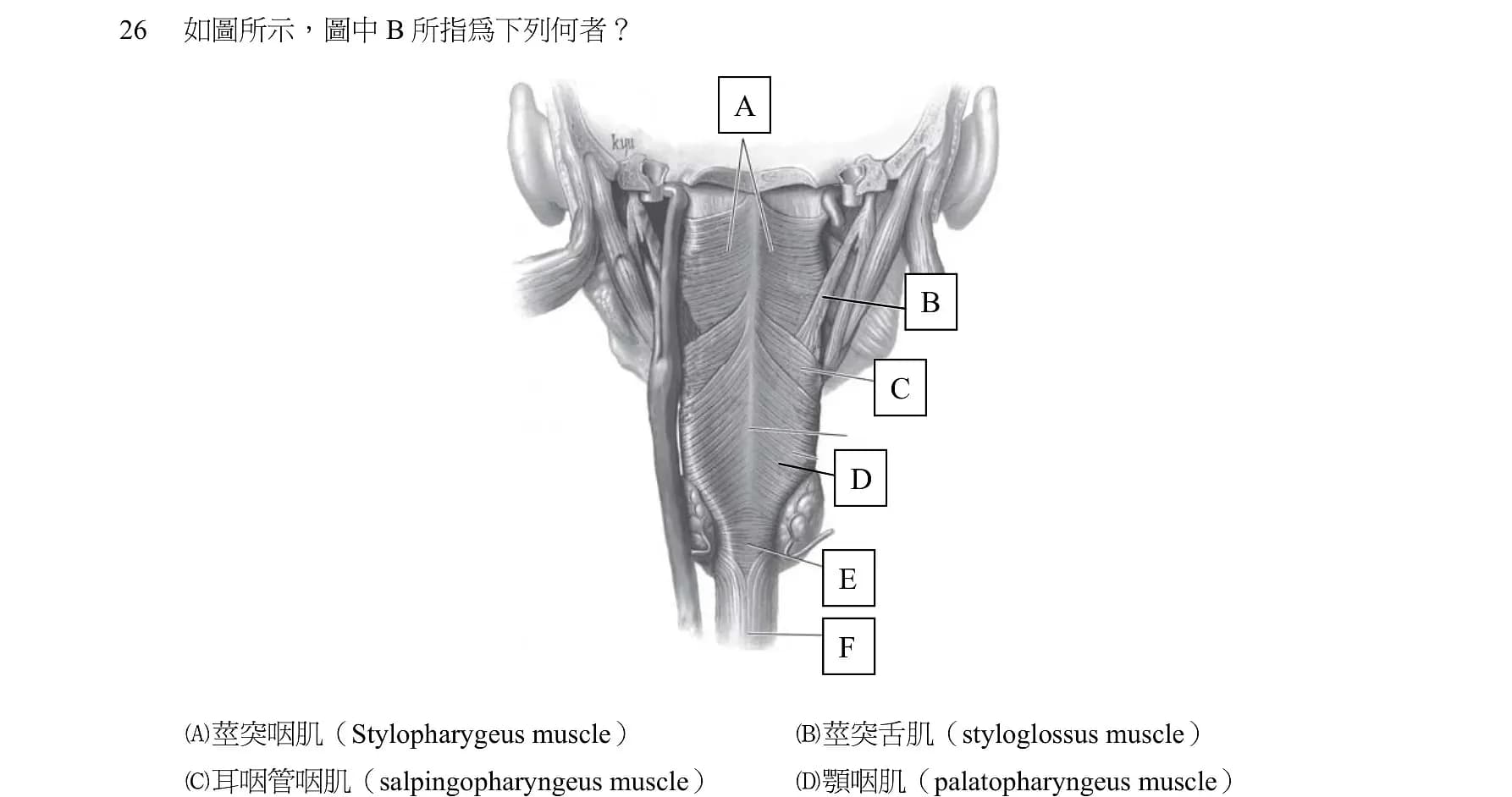 question 圖片