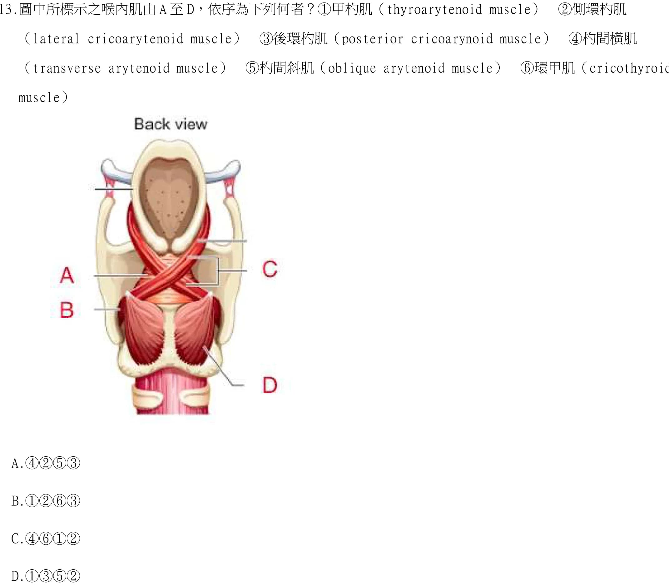 question 圖片