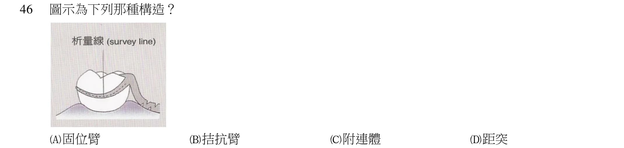 question 圖片