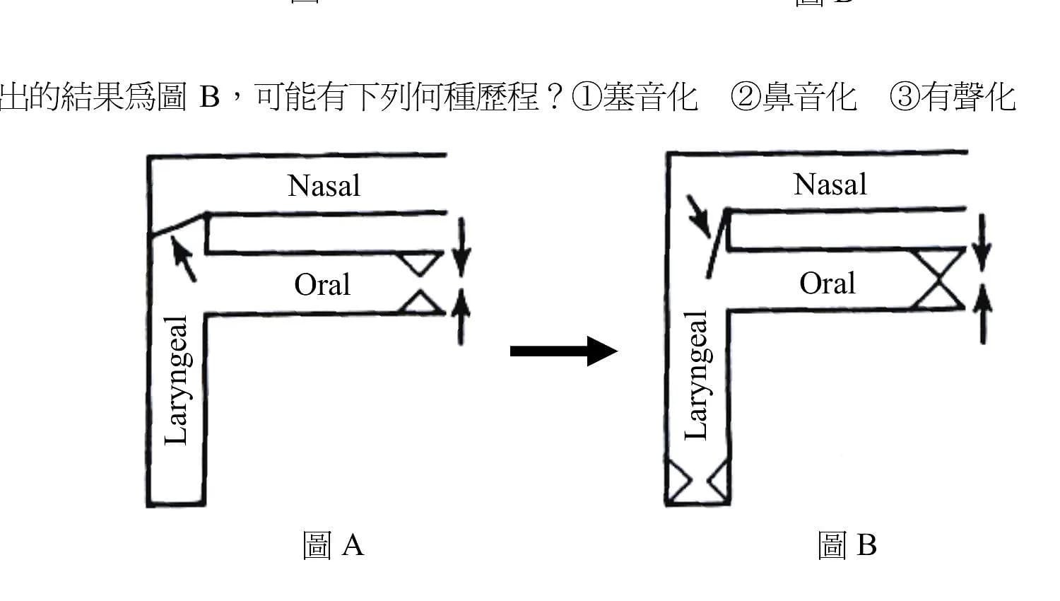 question 圖片