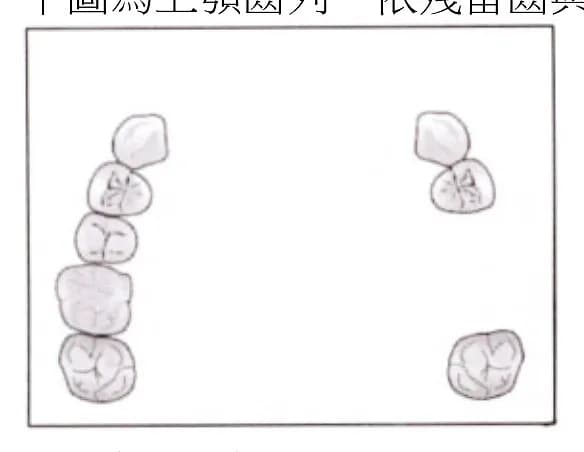question 圖片
