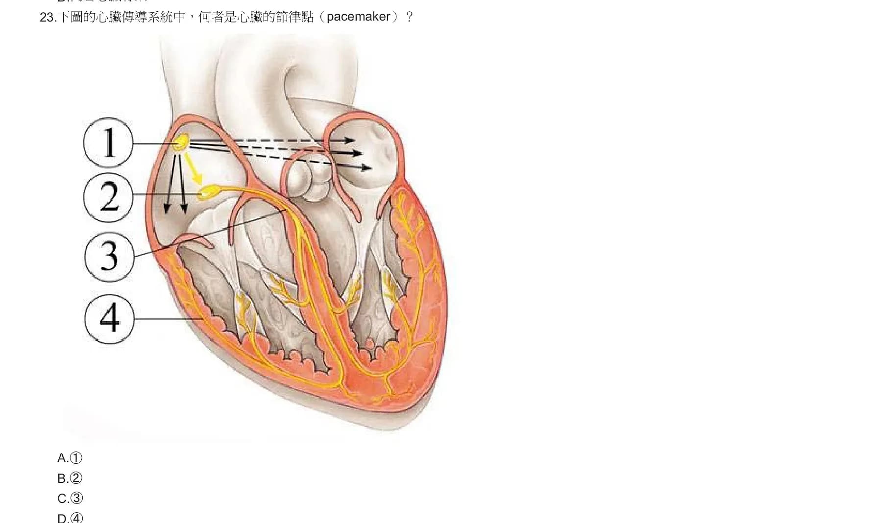 question 圖片