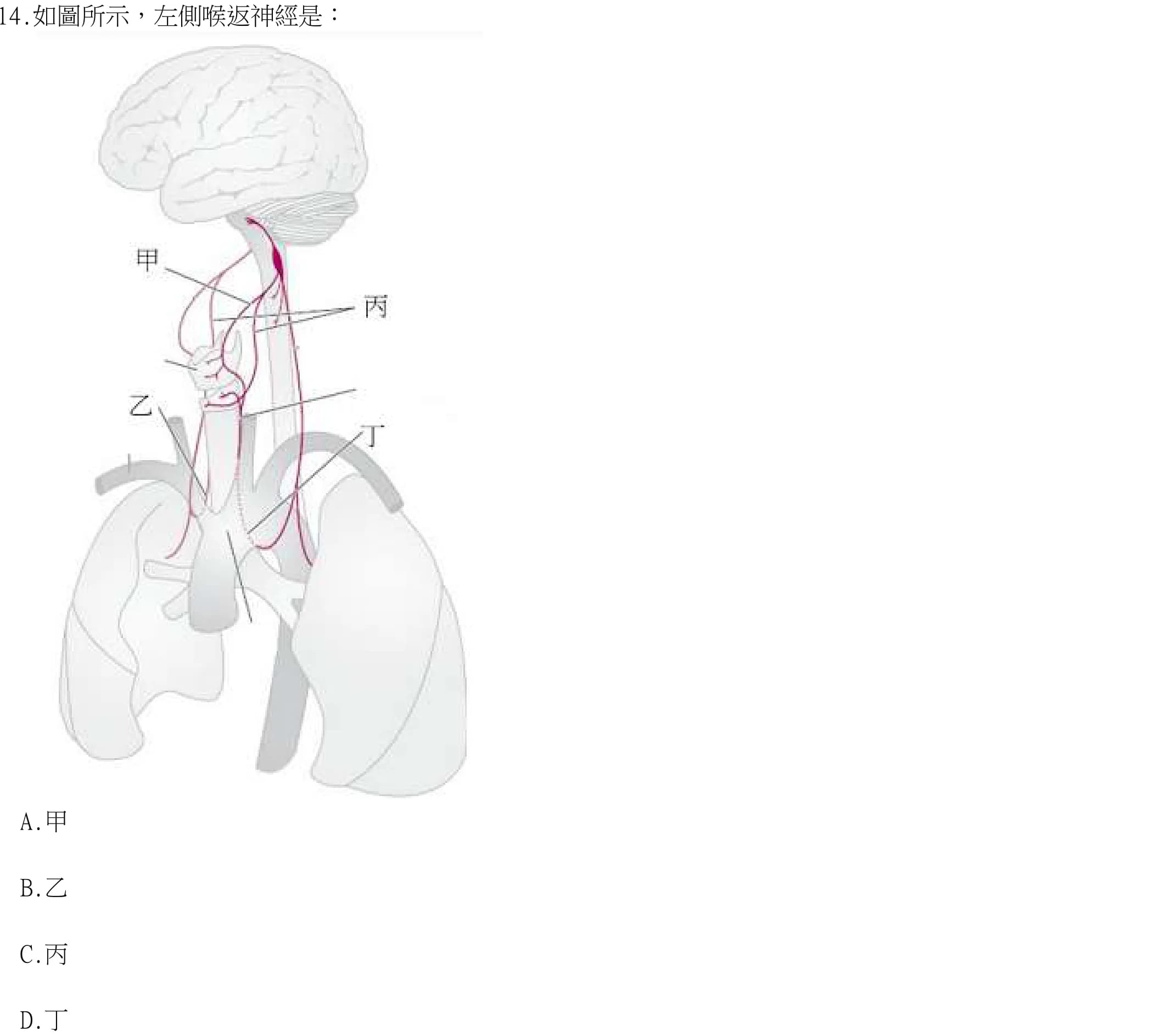 question 圖片