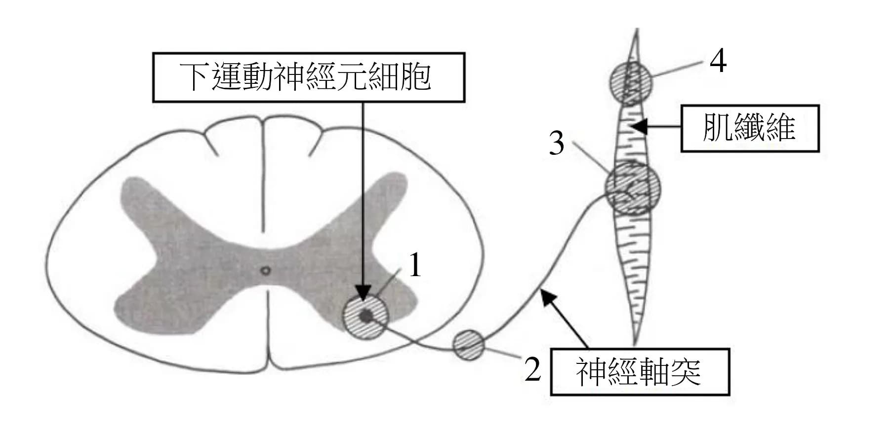question 圖片