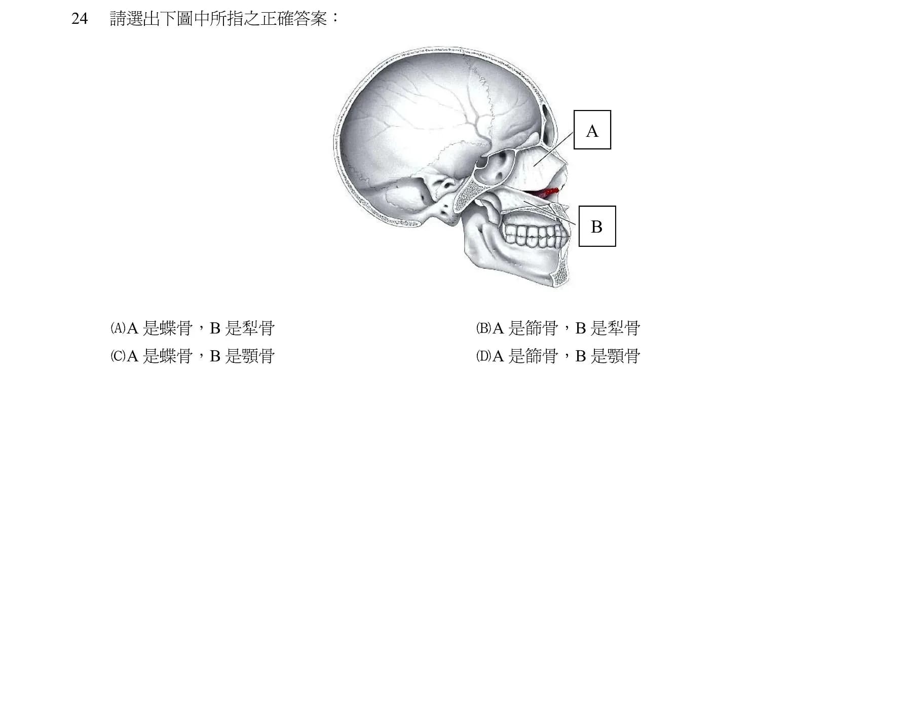 question 圖片