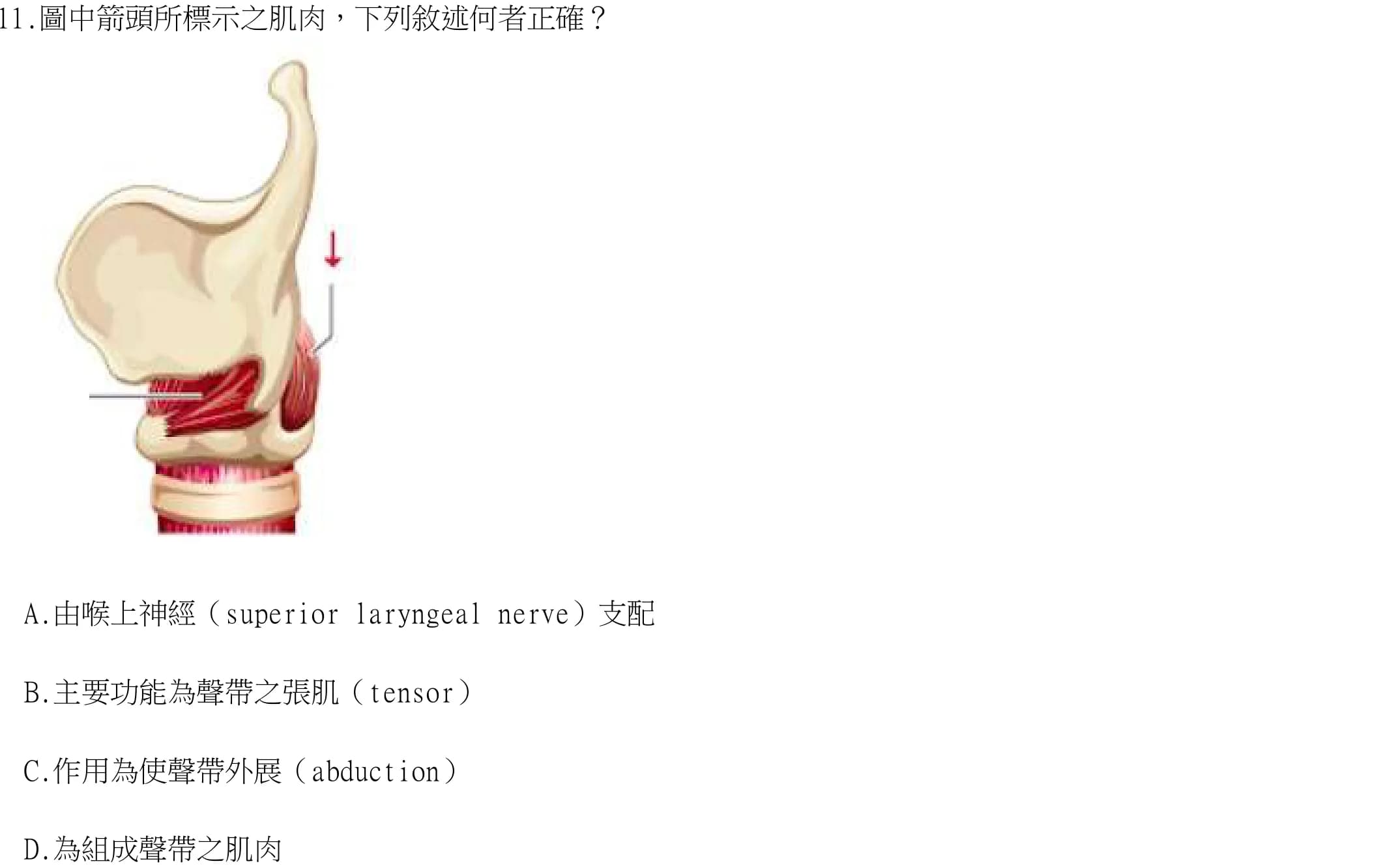 question 圖片