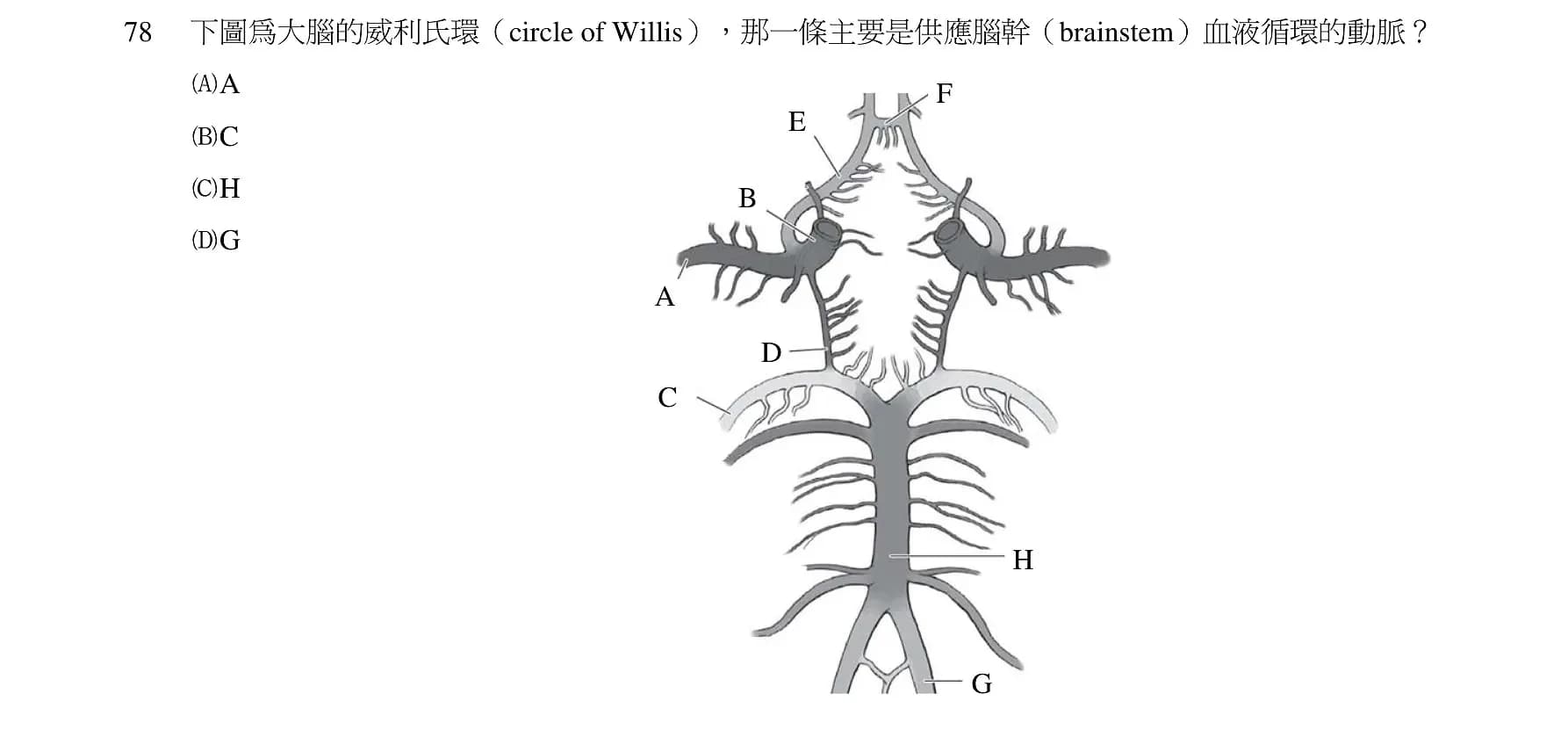 question 圖片