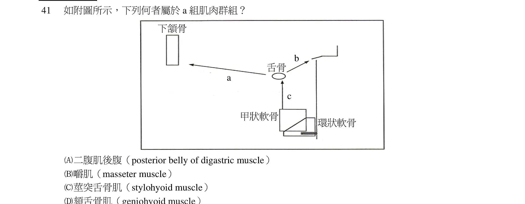 question 圖片