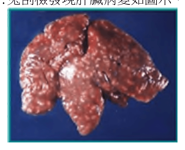 question 圖片