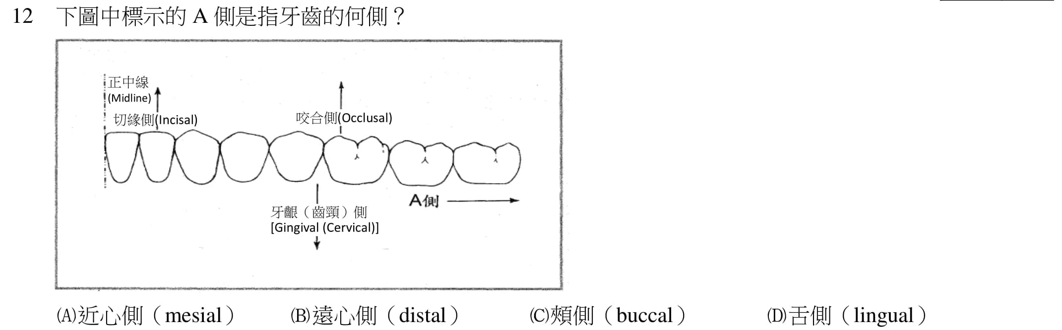 question 圖片
