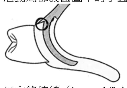 question 圖片